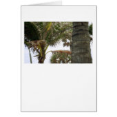 I'm on Island Time! (Front)