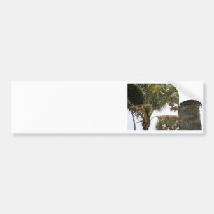 I'm on Island Time! Bumper Sticker