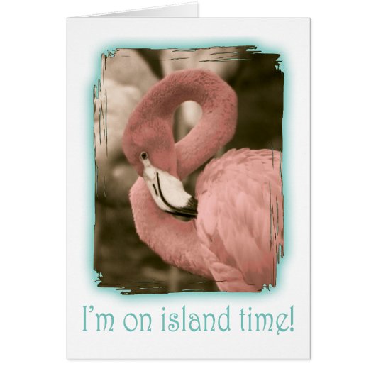 I'm on Island Time Cards (Front)