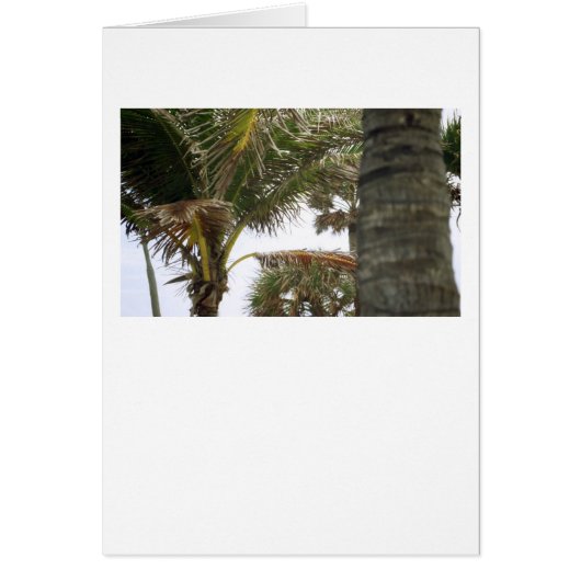 I'm on Island Time! Cards (Front)