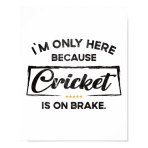 Im Only Here Because Cricket  Poster