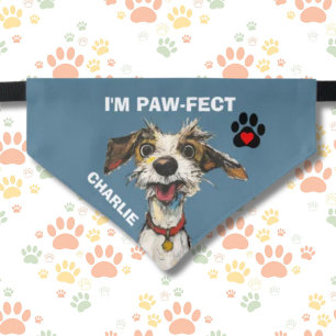 I'M PAW-FECT FUN DOG PAWS HEART NAME PET BANDANA COLLAR