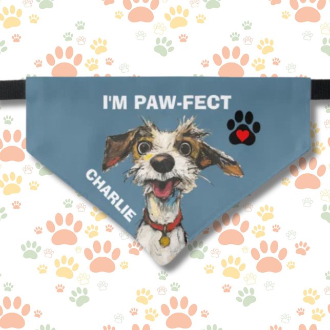 I'M PAW-FECT FUN DOG PAWS HEART NAME PET BANDANA COLLAR (Creator Uploaded)