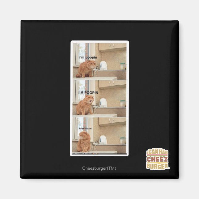 I'm poopin! magnet (Front)