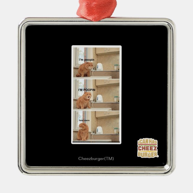 I'm poopin! metal ornament (Front)
