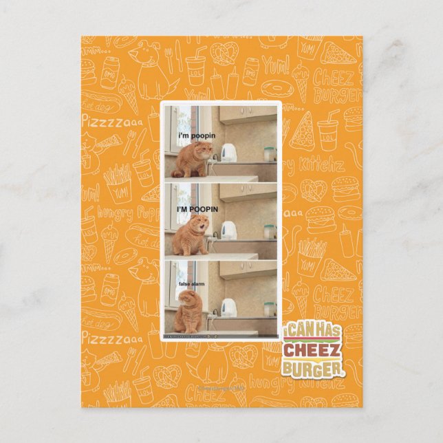 I'm poopin! postcard (Front)