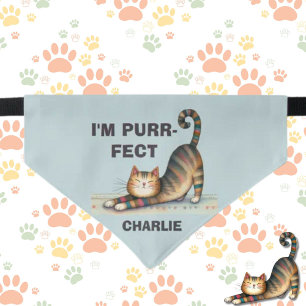 I'M PURR-FECT FUN CAT PAWS HEART NAME PET BANDANA COLLAR