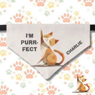I'M PURR-FECT FUN CAT PAWS HEART NAME PET BANDANA COLLAR