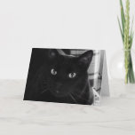 I&#39;m Shocked Black Cat Birthday Card at Zazzle