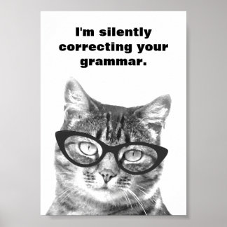 im_silently_correcting_your_grammar_cat_poster-r50c8166c3aa849f7b5670231b391b732_w8r_8byvr_324.jpg
