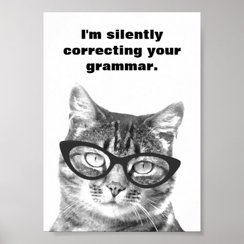 Im silently correcting your grammar cat poster