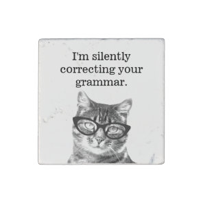 I'm silently correcting your grammar cat teacher stone magnet