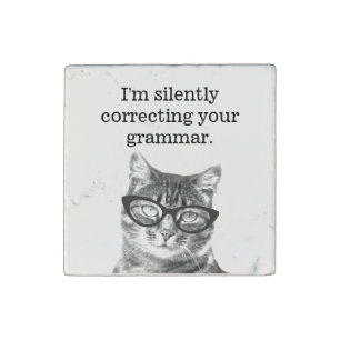 I'm silently correcting your grammar cat teacher stone magnet
