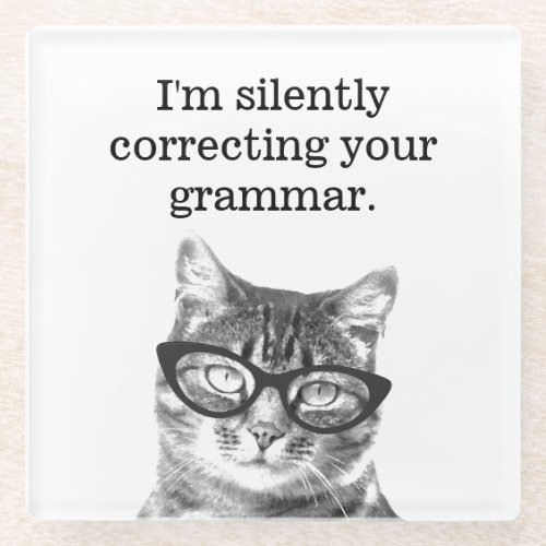 Im silently correcting your grammar fun cat photo glass coaster