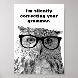 I'm silently correcting your grammar owl poster