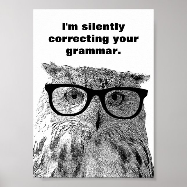 I'm silently correcting your grammar owl poster (Front)