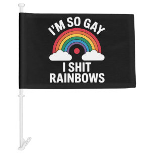 I'm So Gay Rainbows Funny LGBTQ Pride Ally Car Flag