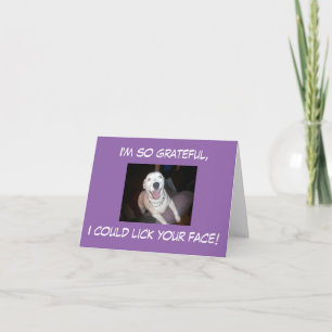I'm so grateful, I could lick your face! Letterpress Thank You Card