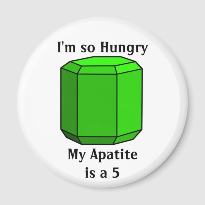 I'm So Hungry, My Apatite is a 5 Refrigerator Magnet