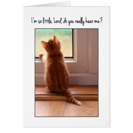 I'm so little Lord do you hear me?  kitten (Front)