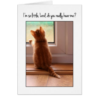 I'm so little Lord do you hear me? kitten Cards