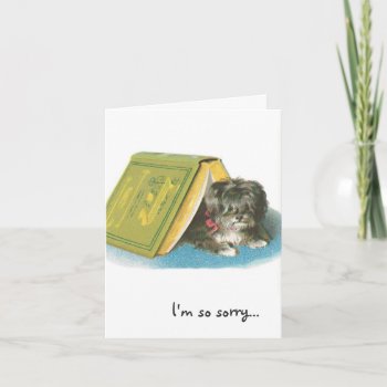 I'm So Sorry - In The Doghouse - Yorkshire Terrier Card by GoodThingsByGorge at Zazzle