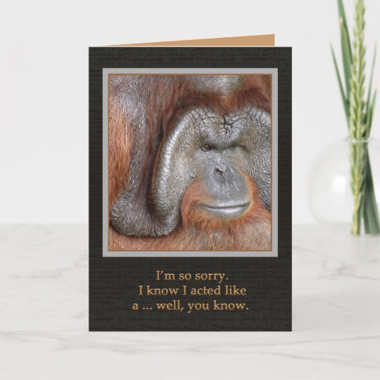 I'm Sorry Animal Card | Zazzle.com