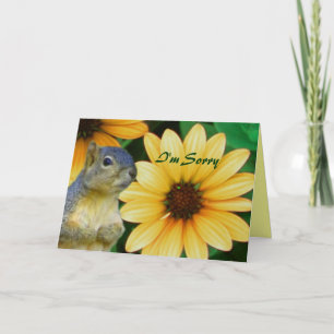 I'm Sorry/Any Occasion_ Card