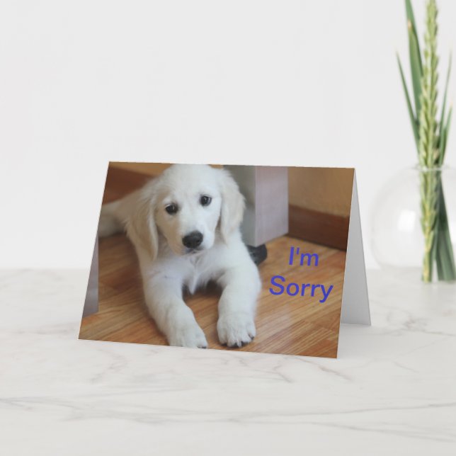 I'm Sorry apology card (Front)