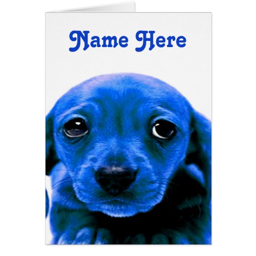 Im sorry Blue Sad Puppy Dog Eyes