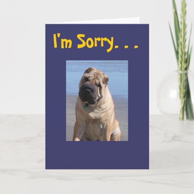 I'm sorry card (Front)