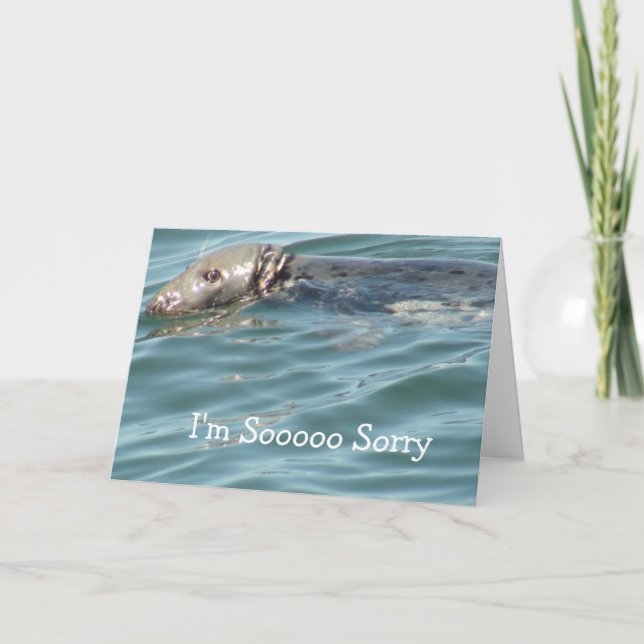 I'm Sorry Card (Front)