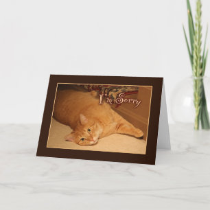 I'm Sorry Card