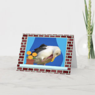 I'm Sorry Card