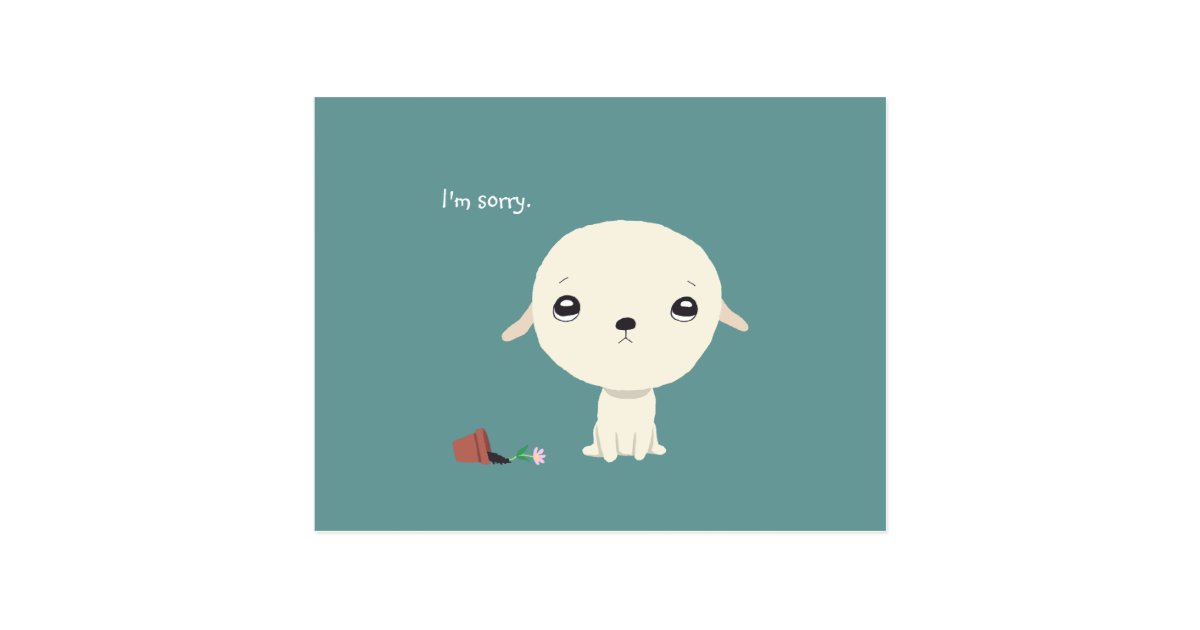 I'm Sorry Card Cute Puppy Eyes Sorry Postcard
