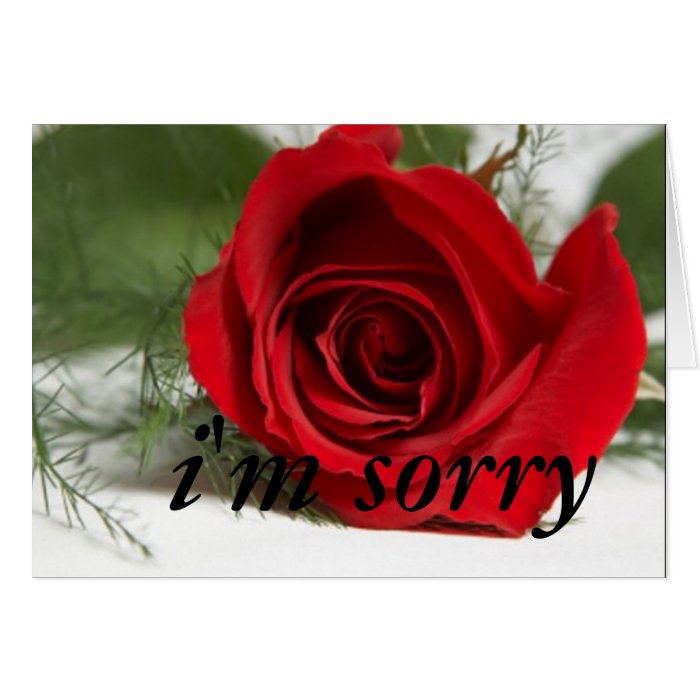 "I'm Sorry" Card Design1