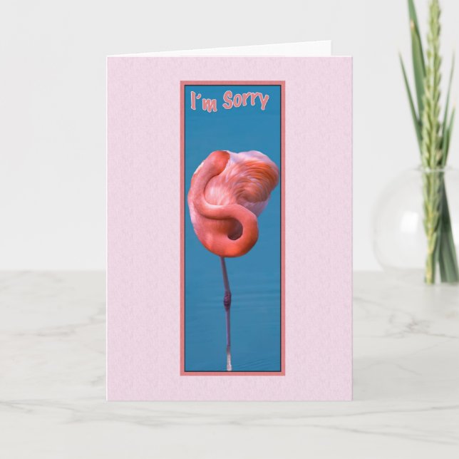 I'm Sorry Card with Twisted Pink Flamingo (Front)