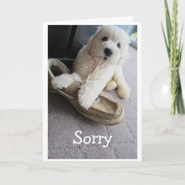 I'm Sorry, Cute Goldendoodle pup Humor Card (Front)