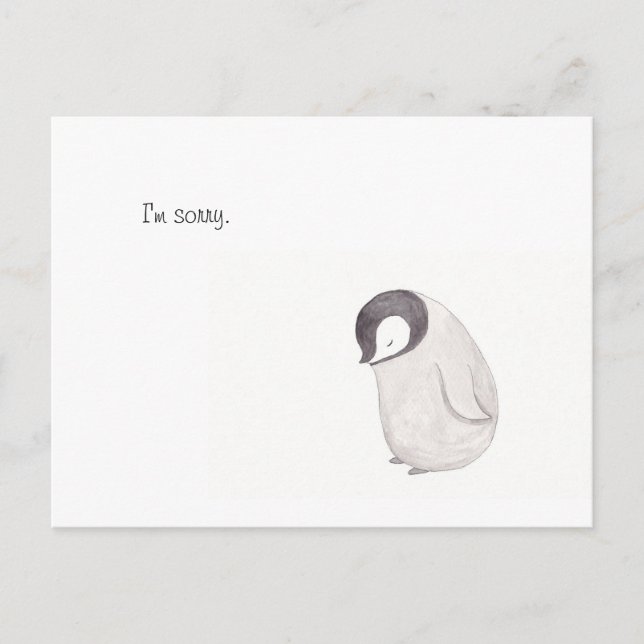 I'm Sorry Cute Penguin Post Card (Front)