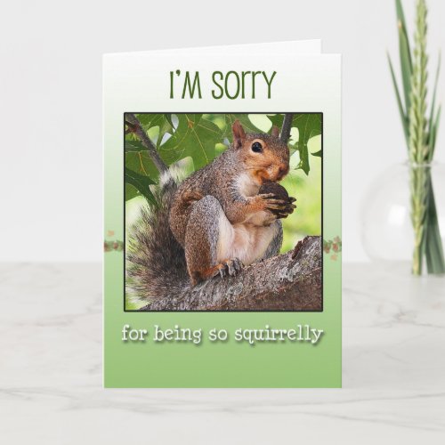 Im sorry greeting card with squirrel