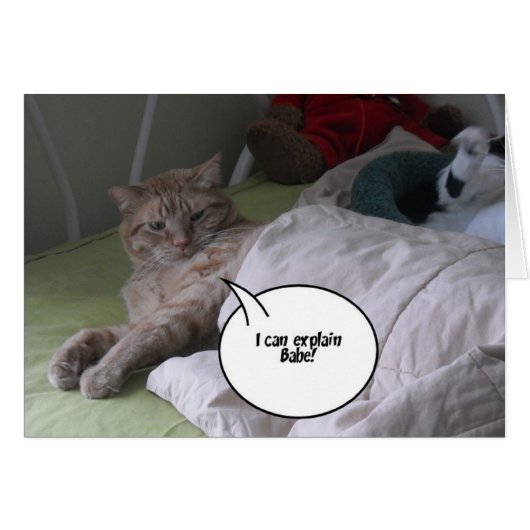 I'm Sorry Greeting Cards (Front Horizontal)