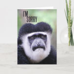 I&#39;m sorry Monkey Card