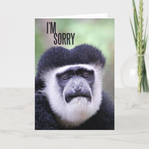 Im sorry Monkey Card