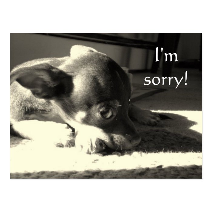 I'm sorry post card