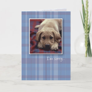 I'm Sorry Puppy Card