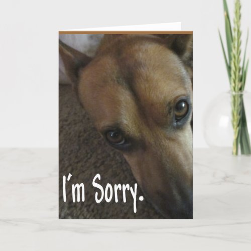 Im Sorry Sad Dog Card
