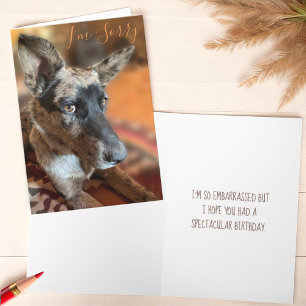 I'm Sorry Side Eye Cattle Dog Belated Birthday Card