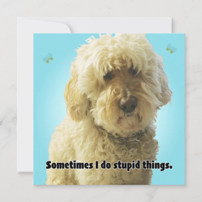 I'm Sorry, Sometimes I do stupid things Card (Front)