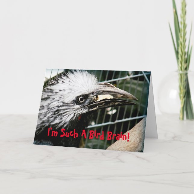 I'm Such A Bird Brain Funny Belated Birthday Card (Front)