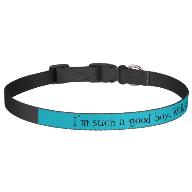 I'm such a good boy. Well, sometimes. Pet Collar (Front)